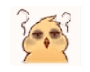 828158242