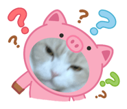 828162380