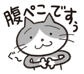 828162725