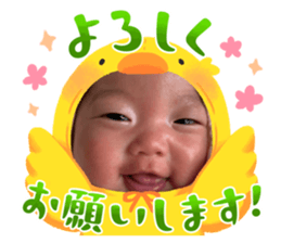 828163620