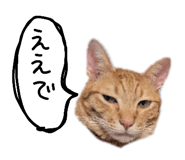 828163999