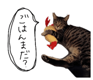 828164002