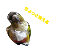 828168050