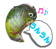 828168052