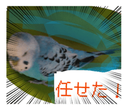 828168064