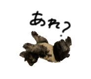 828177880