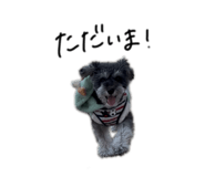 828177890