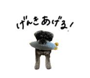 828177896
