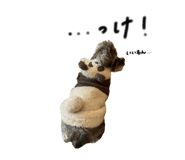 828177902