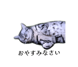 828180453