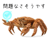 828192391