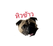 828204009