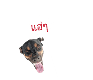 828204013