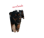 828204014