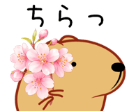 828231345