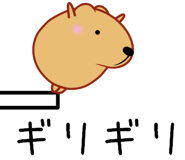 828231364
