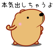 828231365