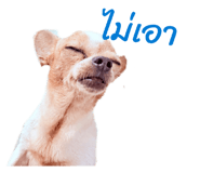 828234754