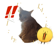 828240586