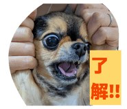 828243050