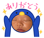 828243086