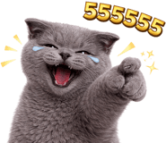828244462