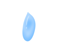 828255691