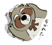 828255944