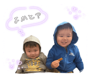 828256577