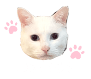 828257281