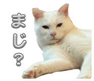 828257284