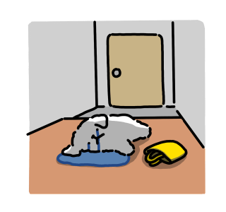 ลายที่ 43