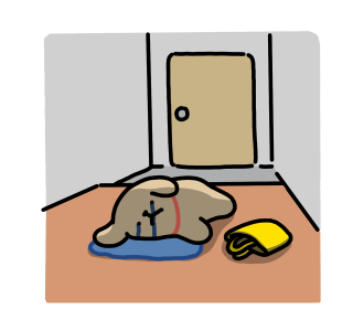 ลายที่ 43