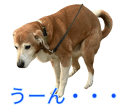 828267192