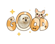 828268185