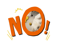828268186