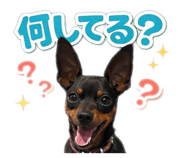 828274919