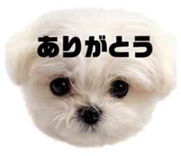 828276369