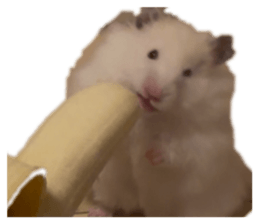 828279140