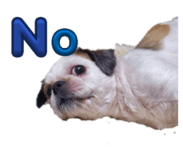 828328731