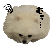 828329056