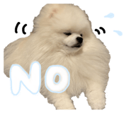 828329060
