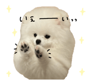 828329076