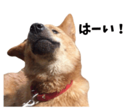 828331225