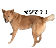828331228