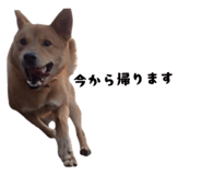 828331230