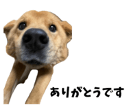 828331232
