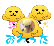 828346139