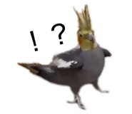 828374089