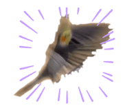 828374090
